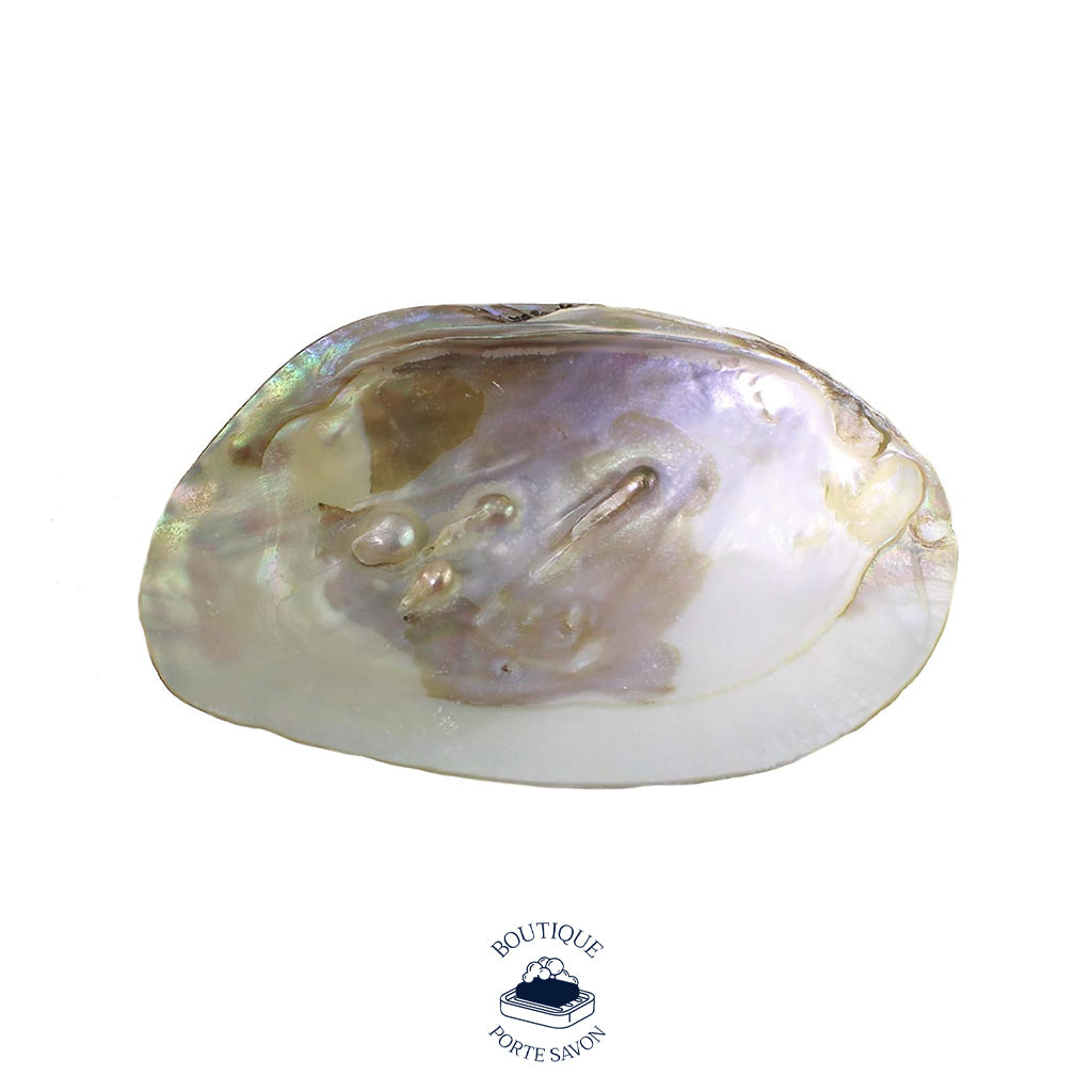 porte savon nacre