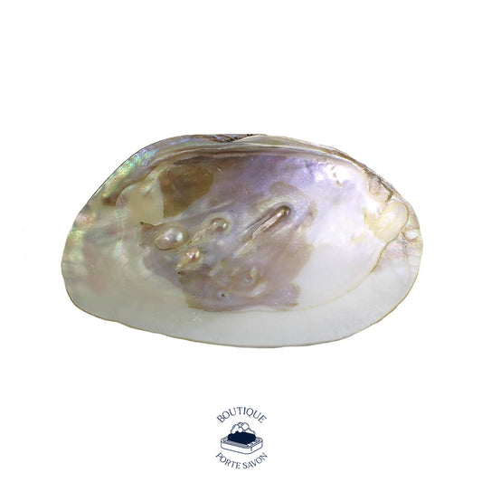 porte savon nacre